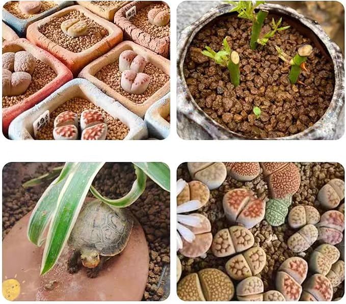Akadama Bonsai Soil 2lbs Horticultural Potting Soil Amendment Cacti Succulent Plant Soil, Prevent Over Water, Provides Optimal Water Retention, Fast Drainage, YFAK000