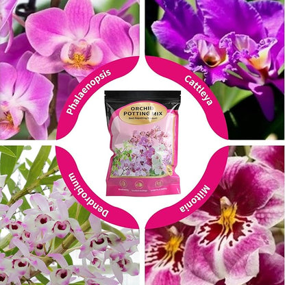 Orchid Potting Mix with Orchid Bark 4QT - New Upgraded Formula for Superior Drainage & Breathability | Premium Soil for Healthy Roots