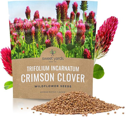 Crimson Clover Seeds – Extra Large Packet – Over 5,000 Open Pollinated Non-GMO Seeds – Trifolium incarnatum