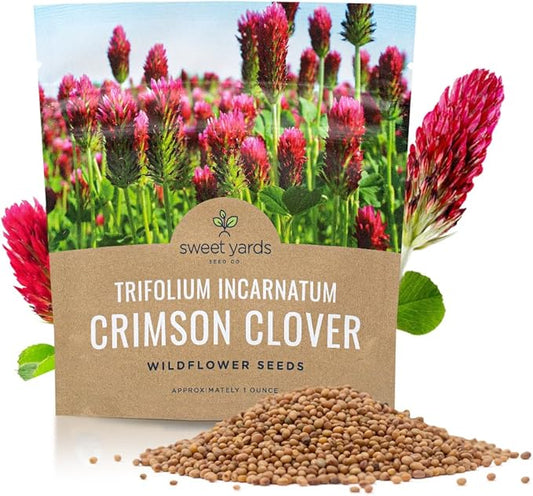 Crimson Clover Seeds – Extra Large Packet – Over 5,000 Open Pollinated Non-GMO Seeds – Trifolium incarnatum