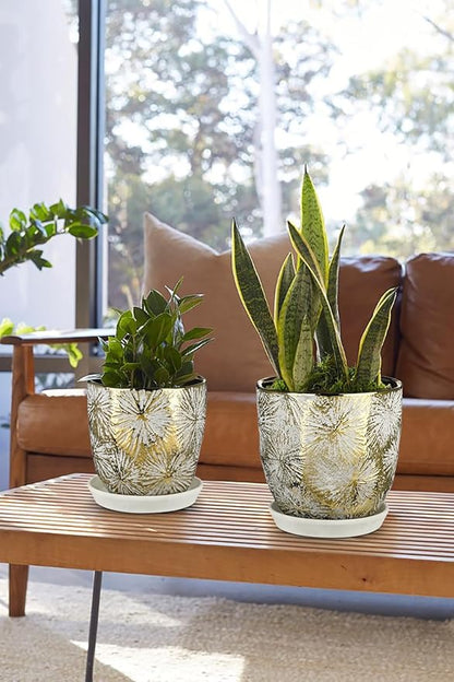 Oairse 6 +5 inch Ceramic Planter Pots Set of 2 Small Round Flower Pots with Drainage Hole and Ceramic Tray for Succulents Cactus Indoor Outdoor Garden Home Windowsill
