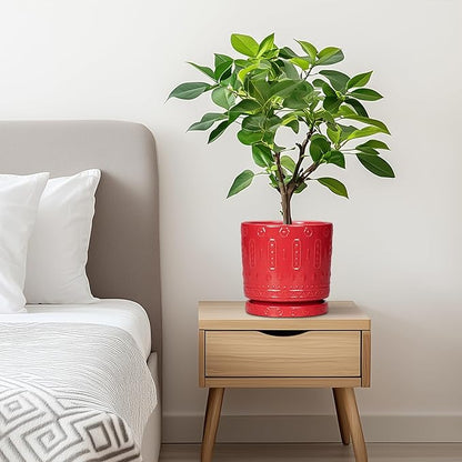 6 Inch Plant Pot, Ceramic Flower Pots for Indoor Outdoor Plants, Round Pots for Plants with Drainage Hole and Tray, Boho Decorative Planter, Kitchen Decor, Gardening Gifts for Women, Red