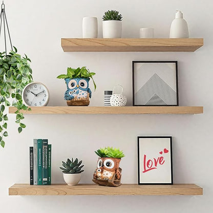 Unique Owl Plant Pots Indoor, Cute Small Succulent Pots with Drainage Hole, Rocking Chair Planters for Outdoor Indoor Plants, Resin Flower Pot for String of Pearls, Gift Ideas for Mother