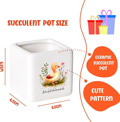 Duck Succulent Planter Flower Plant Pot Small, Gifts for Women Teens Girls Kids, Duck Lovers Themed Stuff Accessories Things Decor Merch, Home Office Table Desk Decoration!