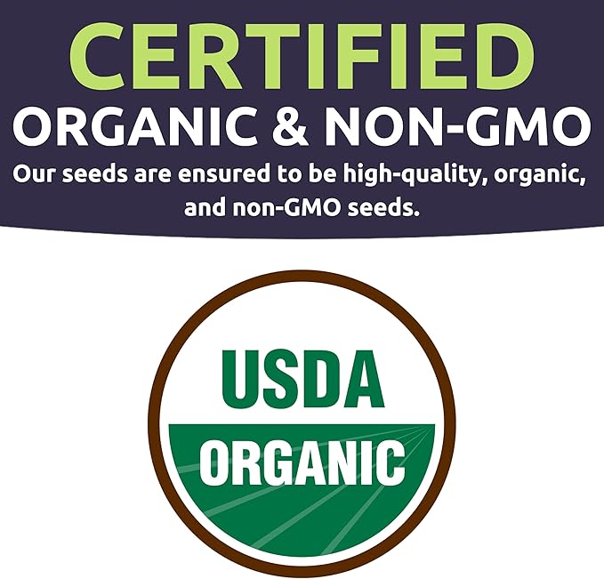 Organic Arugula Seeds - 2 Seed Packets! - Over 1,100 Open Pollinated Non-GMO USDA Organic Seeds