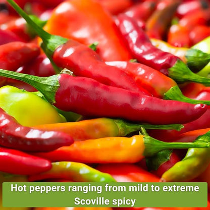 Sow Right Seeds - Hot Pepper Seed Collection for Planting - Includes Orange Habanero, Ghost, Thai, Cayenne, Tabasco, Scotch Bonnet - Non-GMO Heirloom Varieties to Plant a Home Vegetable Garden