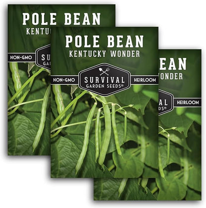 Survival Garden Seeds - Kentucky Wonder Pole Bean Seed for Planting - 3 Packets with Instructions to Plant and Grow Green Snap Beans in Your Home Vegetable Garden - Non-GMO Heirloom Variety