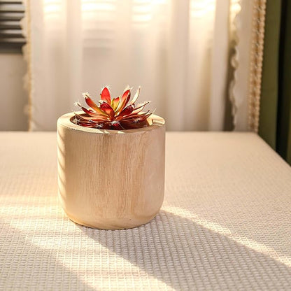 CYS EXCEL 6.25'' Natural Cylinder Planter Lightweight Natural Wood Cachepot for Indoor Plants, Succulents, Herbs, Home & Office Decor