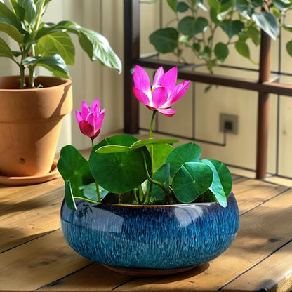 Lotus Bowl Planter, Lotus Bowls for Planting in Water Indoors, Bonsai Bowl Lotus Flower Seeds, Ceramic Planters for Indoor Plants (Dark Blue)
