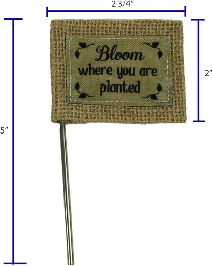 Cathedral Art Abbey & CA Gift Bloom Where Planted Flag Flower Pick, One Size, Multi