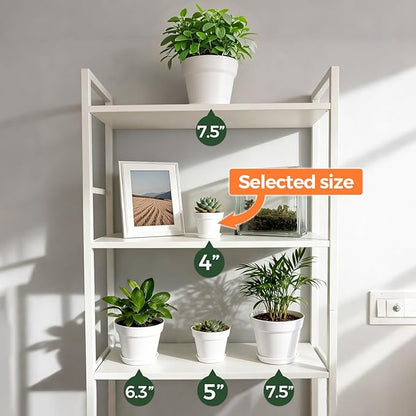 T4U 4 Inch Plant Pots 8-Pack, Small Flower Pots with Drainage Hole and Saucer, Decorative Nursery Pot Bulk for African Violet, Snake Plant, Succulent, Herb and Plants Indoor (8 Pcs 4" Pots, White)
