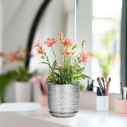 Ceramic Plant Pot 5 Inch - Indoor Planter with Drainage Hole and Saucer, Round Modern Flower Pot for Succulent Plants, Housewarming Gifts, Office Home Desk Decor, Silver