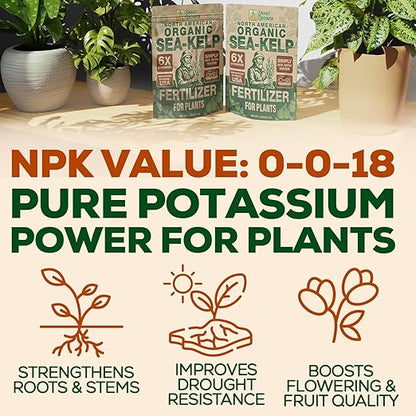 Organic Sea Kelp Fertilizer for Plants – Water-Soluble – Makes 100 Gallons – Kelp Meal Concentrate Plant Food – for Indoor Gardens, Hydroponics, Vegetables, Houseplants - Smart Grower - 4oz Bag