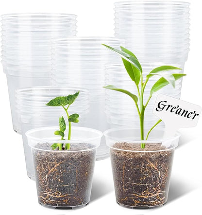 GREANER 60 Packs Reinforced Plastic Plant Pots, Transparent Nursery Pots with Drainage Holes for Plants, 4 Inch Clear Nursery for Orchid, Succulent, Vegetable, and Cactus