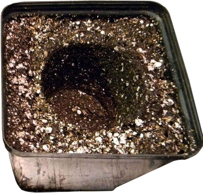 SunGro SUGRBG2 Black Gold Natural & Organic Potting Soil Bag Plus Fertilizer, 2 Cubic Feet (3 Pack)