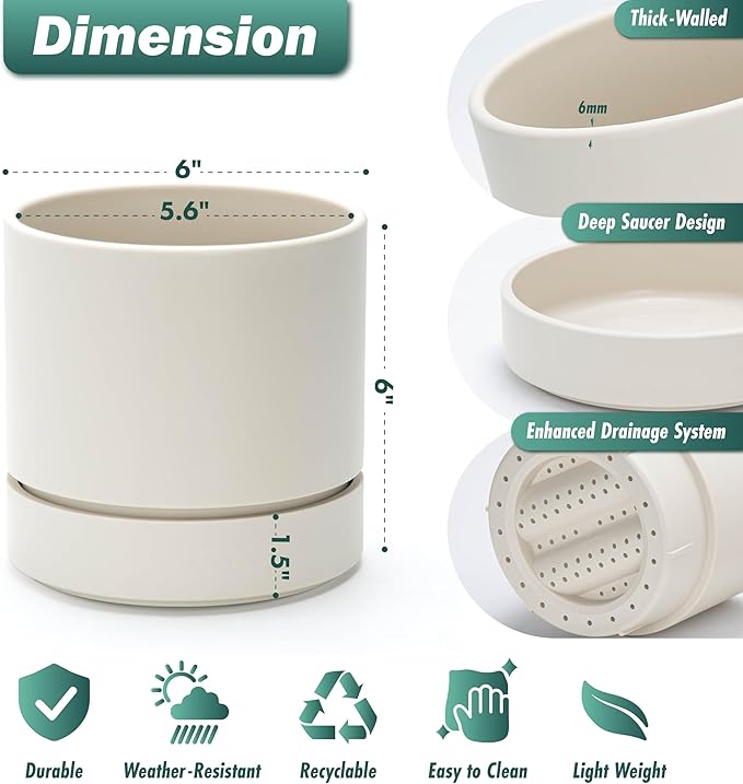 Phoenix Vine 6 Inch Planter Pot with Drainage Hole & Saucer, Deep Water Catch Tray, Straight Cylindrical Round Pot for Plants, Oatmeal, Pack of 2, 23-E-S-2