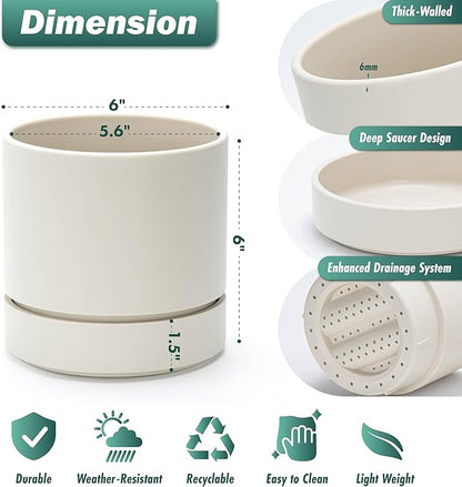 Phoenix Vine 6 Inch Planter Pot with Drainage Hole & Saucer, Deep Water Catch Tray, Straight Cylindrical Round Pot for Plants, Oatmeal, Pack of 4, 23-E-S-4