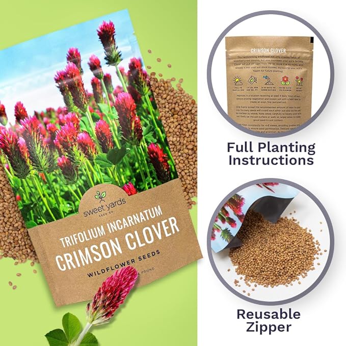 Crimson Clover Seeds – Bulk Quarter Pound Bag – Over 20,000 Open Pollinated Non-GMO Seeds – Trifolium incarnatum