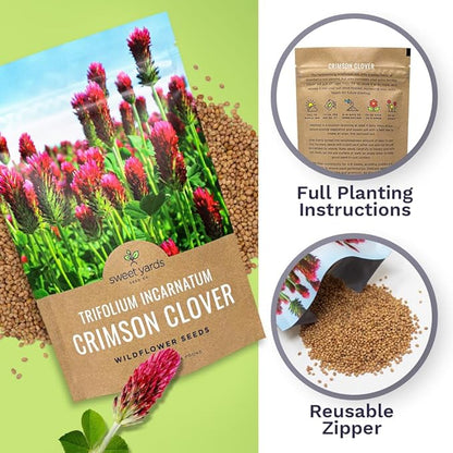 Crimson Clover Seeds – Bulk Quarter Pound Bag – Over 20,000 Open Pollinated Non-GMO Seeds – Trifolium incarnatum
