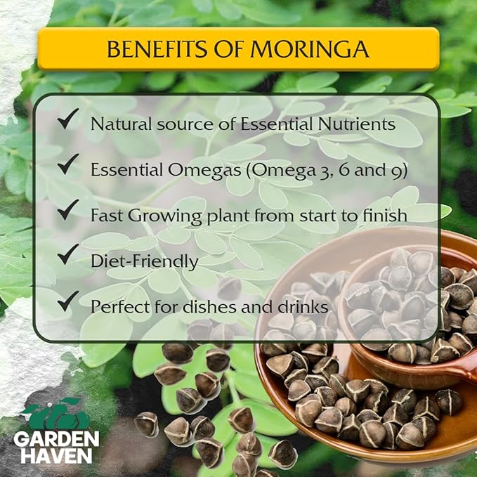 Moringa Oleifera Growing Kit, Moringa Seeds Complete Starter Set with 2 oz Seeds, 5 Peat Pots, Soil Discs, Plant Markers, Fast Growing Drought Resistant