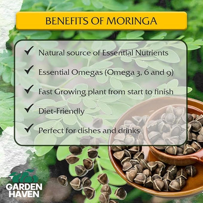 Moringa Oleifera Growing Kit, Moringa Seeds Complete Starter Set with 2 oz Seeds, 5 Peat Pots, Soil Discs, Plant Markers, Fast Growing Drought Resistant