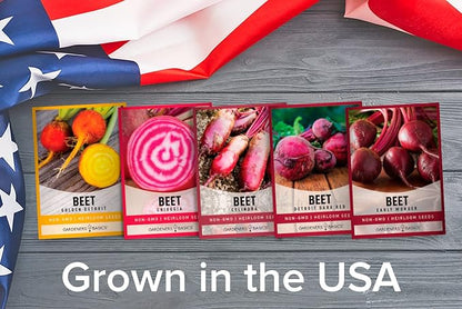Gardeners Basics, Beet Seeds for Planting Home Garden - 5 Variety Pack Detroit Dark Red, Golden Detroit, Early Wonder, Cylindria and Chioggia Great for Spring, Summer, Fall, Heirloom Veggie Seeds