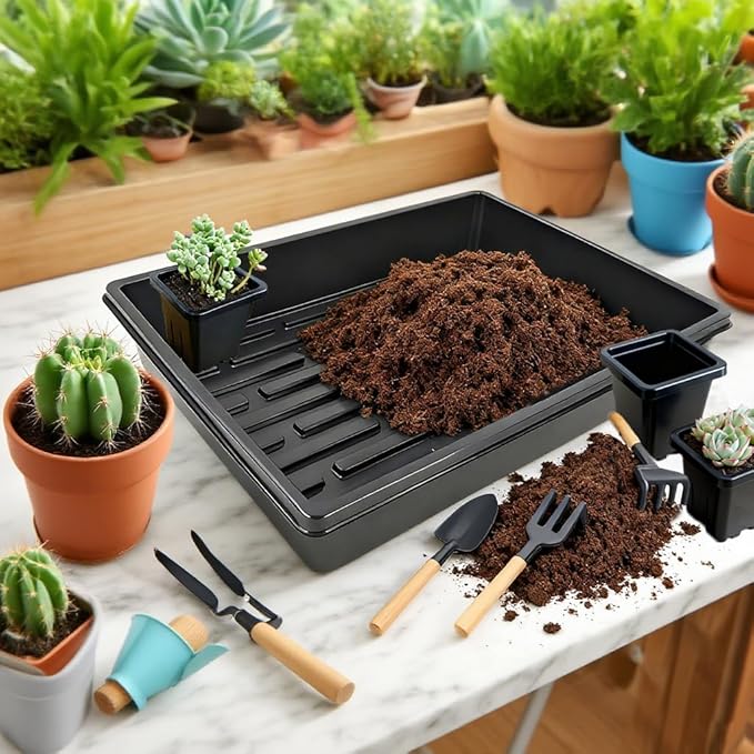 2 Inch Square Plant Nursery Pots (Black+Clear),50Pcs Seedling Planter Seed Starter Pots,Sturdy Small Plastic Pots with Drainage Holes