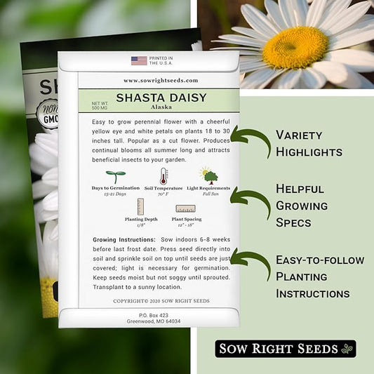 Sow Right Seeds - Shasta Daisy Flower Seeds for Planting - Non-GMO Heirloom Packet with Instructions - Attract Butterflies and Excellent for Cutting - White Blossom with Yellow Centers (3)