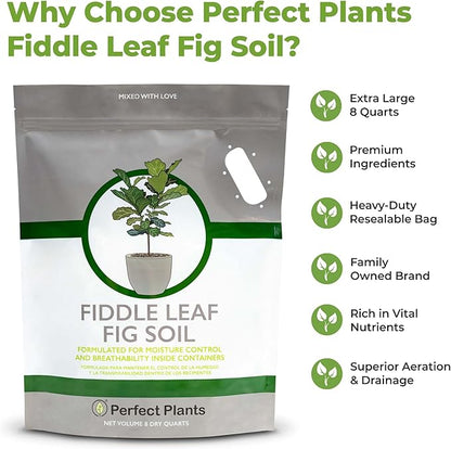 Fiddle Leaf Fig Soil by Perfect Plants 8QTS, Premium Professional Blend for All Fiddle Leaf Figs