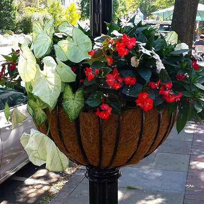 14 inch Coco Liner for planters, 2PCS Round Replacement Plant Basket Liners Coco Fiber Liner for Hanging Basket (14 inch Round)