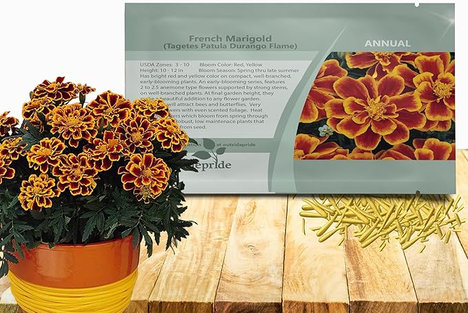 Outsidepride Durango Flame French Marigold Seeds - 500 Pcs Annual, Compact, Heat & Drought Tolerant Flower Seeds for Planting w/Anemone Type Bi-Colored Blooms, Ideal for Vibrant Pollinator Gardens