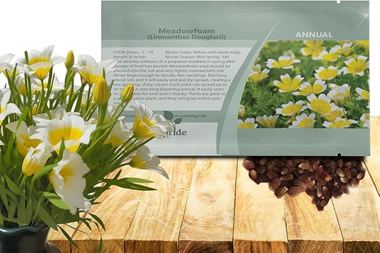Outsidepride Meadowfoam Seeds - 1000 Pcs. Annual, Self-Seeding & Low Maintenance, Ground Cover Seeds for Planting Fragrant Yellow-White Blooms, Great for Gardens, Borders, & Container Displays