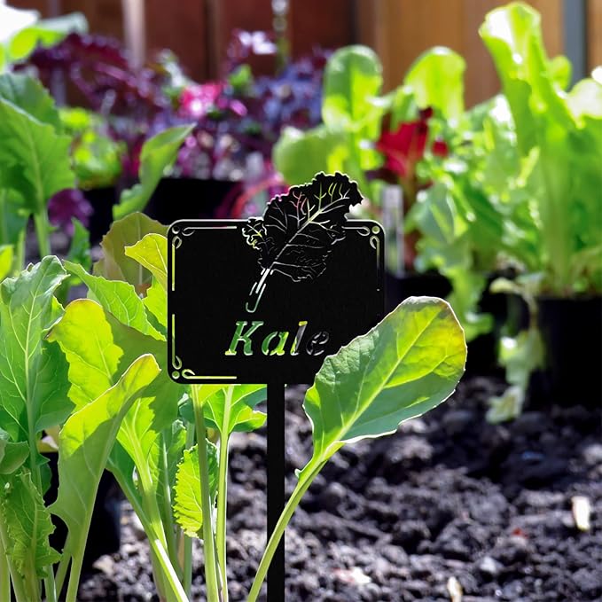 Metal Seed & Plant Labels - Plant Markes for Seedlings-Plant Tags for Pots - Garden Signs for Vegetable - Durable Markers for Plants Outdoor Waterproof - Garden Decor for Farmhouse(Corn)