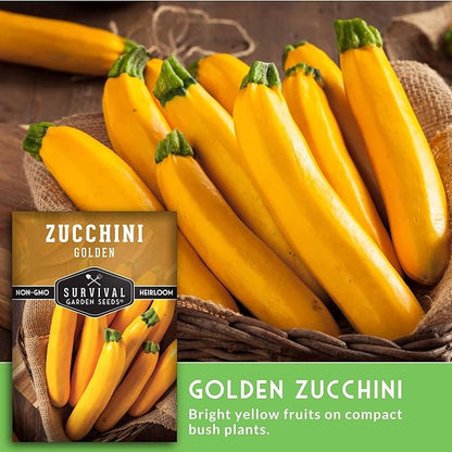 Golden Zucchini Seeds for Planting - Plant & Grow Yellow Zucchini Vegetables in Your Home Vegetable Garden - Non-GMO Heirloom Variety - Survival Garden Seeds (3 Packs)