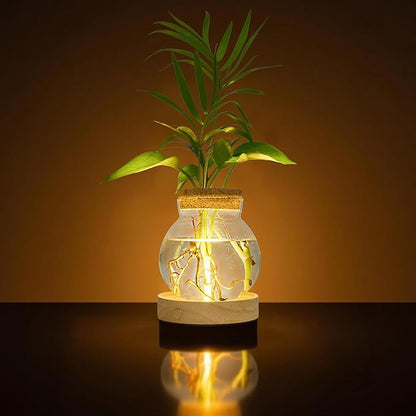 Plant Propagation Station with Light, Valentines Day Glass Terrarium with Stepless Dimming Function Hydroponic Glass Container Vase Jars Gardening Gifts for Mom Women Plant Lovers