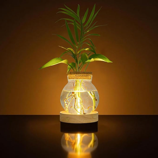 Plant Propagation Station with Light, Valentines Day Glass Terrarium with Stepless Dimming Function Hydroponic Glass Container Vase Jars Gardening Gifts for Mom Women Plant Lovers