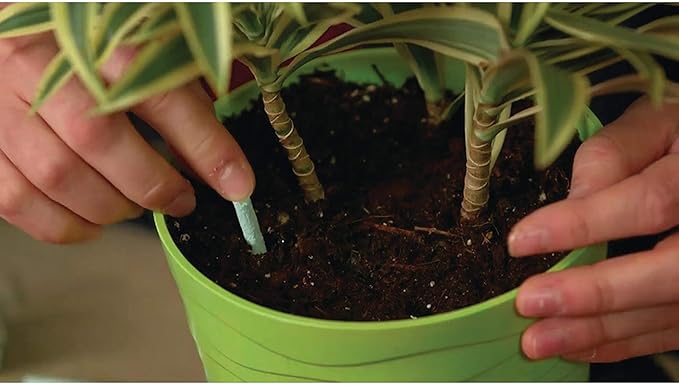 Miracle-Gro Indoor Plant Food Spikes, Includes 48 Spikes - Continuous Feeding for all Flowering and Foliage Houseplants - NPK 6-12-6, Pack of 1