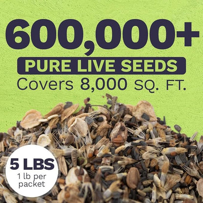 Drought Tolerant Wildflowers Mix – Bulk 5 Pounds – Over 600,000 Open Pollinated Non-GMO Seeds – 21 Different Dryland Species