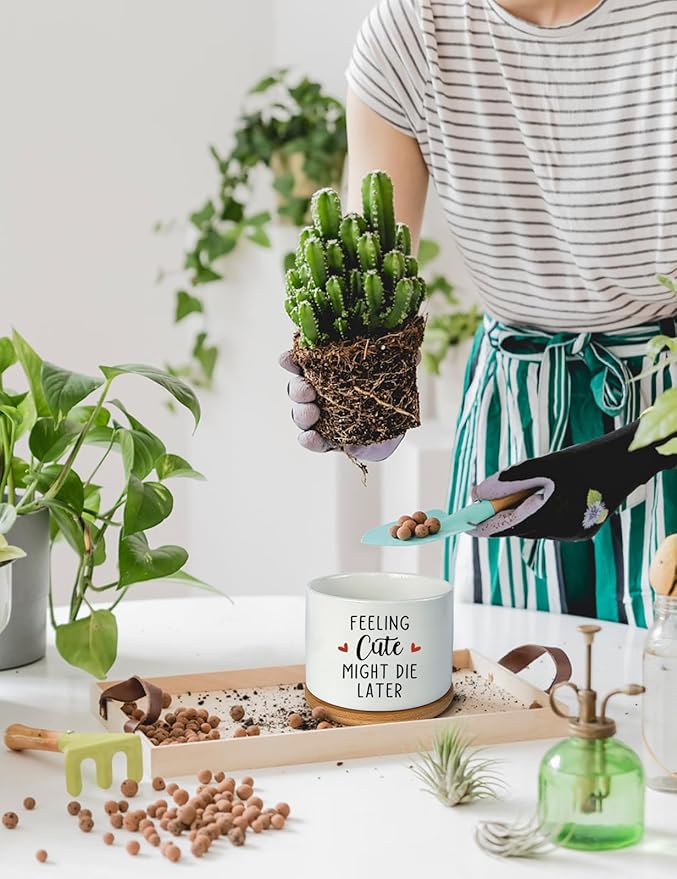Feeling Cute Might Die Later Pot- Ceramic Engraved Succulent Aloe Cactus Planter Pot, Funny Indoor Plant Pots with Bamboo Tray for Mom Grandma Teacher Gifts(Plant Not Included)