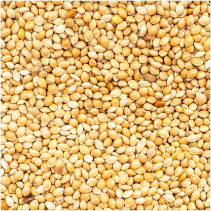 BROWNIE Brand White Proso Millet Bird Feed for Bird Feeder | Premium Wild Bird Food for Sparrows, Finches, and Doves | High-Energy, Non-GMO, All-Season Feed for Feeders (5 Pound)