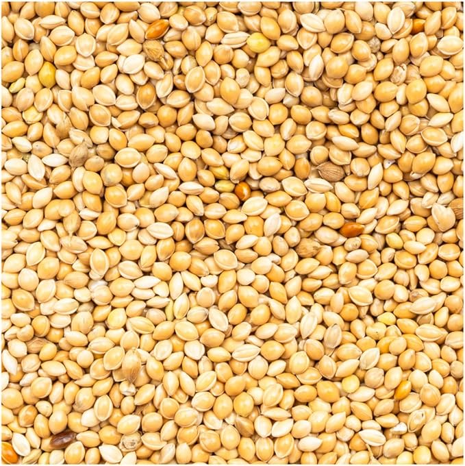 BROWNIE Brand White Proso Millet Bird Feed for Bird Feeder | Premium Wild Bird Food for Sparrows, Finches, and Doves | High-Energy, Non-GMO, All-Season Feed for Feeders (3 Pound)