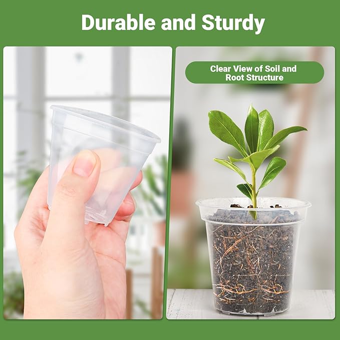 GREANER 60 Pcs Nursery Pots for Plants, 2.4 Inch Small Starter Seed for Seedling, Transparent Plastic Plant Pots with Bonus 20 Plant Labels-Clear