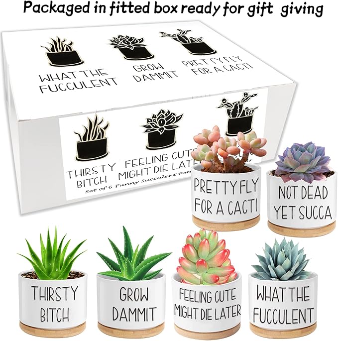 6pcs Funny Succulent Plant Pots, 3.15'' Ceramic Small Succulent Planters with Drainage Hole and Bamboo Tray, Cute Flower Pots for Indoor/Outdoor Plants, Birthday Gifts for Women - Plants Not Included