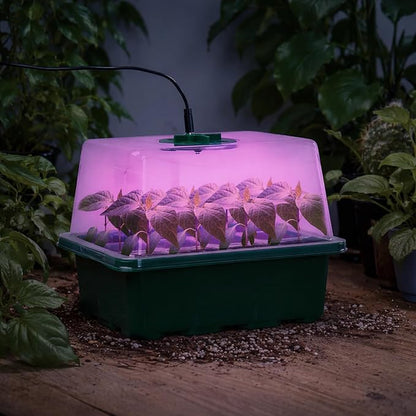 Bonviee 5 Packs Seed Starter Tray with Plant Light, Elevated Seedling Starter Trays Kits with Adjustable Humidity Domes and Clear Cell Tray, 12 Full Spectrum led lamp Beads for Plants Indoor-Green