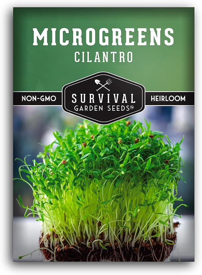 Cilantro Microgreen Seeds for Planting – Non-GMO Heirloom Cilantro Seeds to Grow Fresh, Flavorful Microgreens – Indoors or Hydroponic – Fast Germination – Survival Garden Seeds (1 Pack)