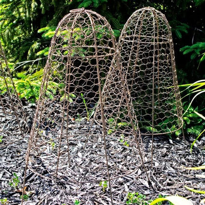 Panacea Rustic Wire Garden Cloches, Set of 6 – 20" H x 12" Dia Plant Protectors – Metal Chicken Wire Dome with 4-Leg Base – Durable Outdoor Garden Cloches for Shrubs, Flowers & Vegetables
