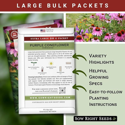 Sow Right Seeds - Bulk Purple Coneflower Echinacea Flower Seeds for Planting - 20 Grams, 5500 Seeds - Non-GMO Heirloom Jumbo Pack with Instructions to Plant an Herbal Tea Garden - for Pollinators