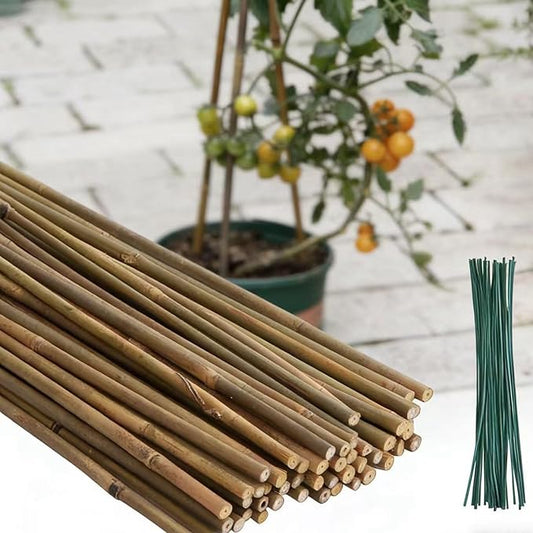 50Pcs Plant Stakes, 4.0 FT Natural Bamboo Garden Stakes, Plant Support Stakes,Bamboo Sticks for Tomato,Beans, Flowers, Vegetable and Climbing Plants