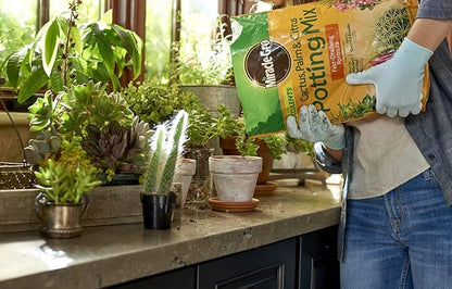 Miracle-Gro Cactus, Palm and Citrus Potting Mix, for Indoor or Outdoor Container Plants, Great for Succulents, 8 qt. (Pack of 2)