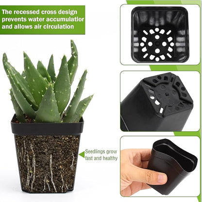 SUNPRO 100Pcs Square Nursery Pots 2.6 Inch Flexible Plastic Seedling Pots Small Plant Pot Thick Seed Starter Pot for Plants, Succulent, Flower with 60Pcs Plant Labels